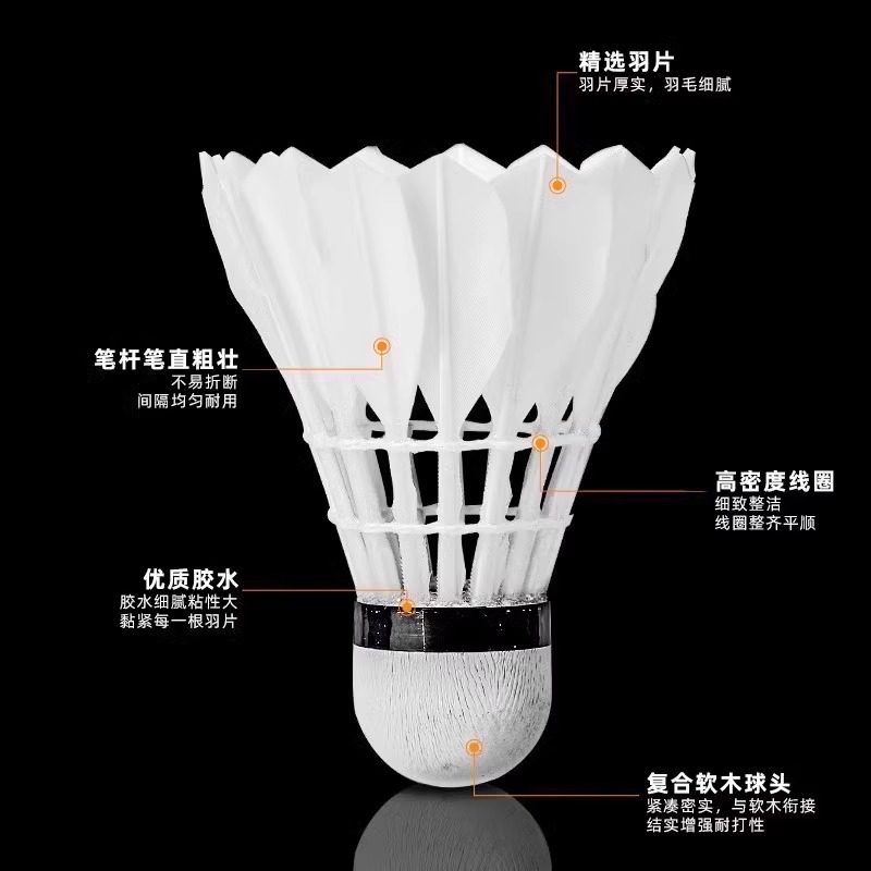 ريشة تنس الريشة من ليون، مصنوع - مراجعة Feather Shuttlecock وسعره