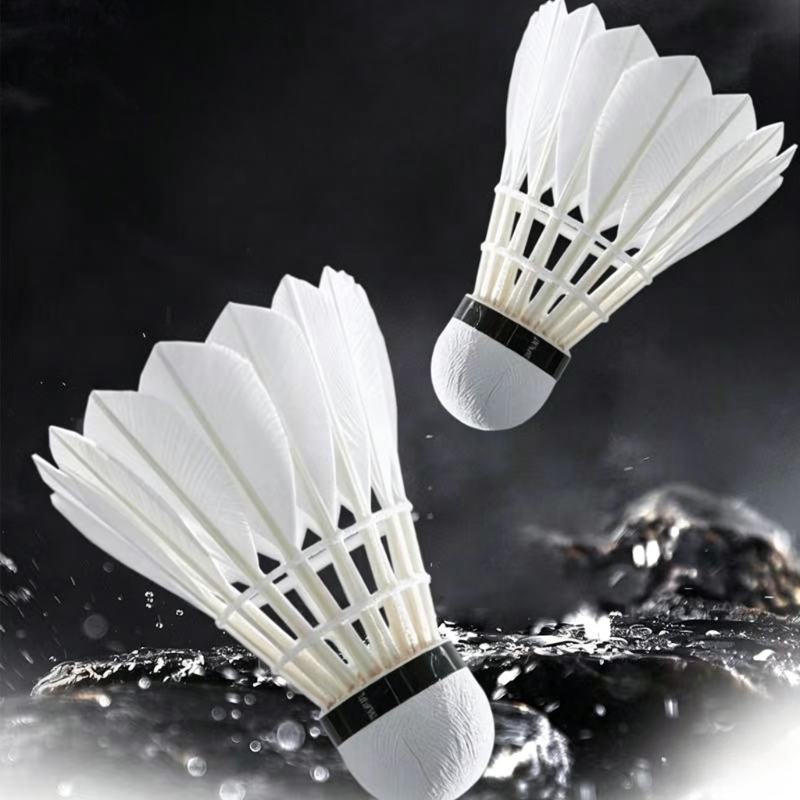 كرات بدمنتون عالية الجودة مصنو - مراجعة Feather Shuttlecock وسعره